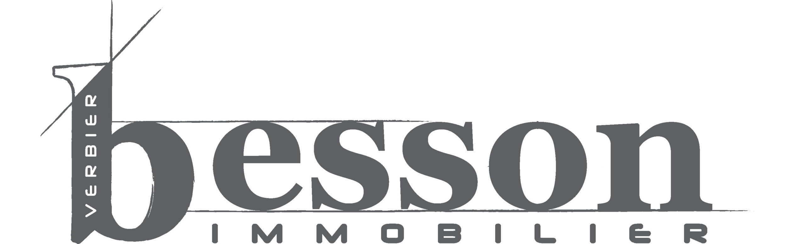 Besson Immobilier SA